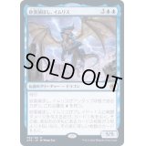 [EX](FOIL)砂漠滅ぼし、イムリス/Iymrith, Desert Doom《日本語》【AFR】