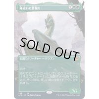 [EX](FOIL)(フルアート)年老いた骨齧り/Old Gnawbone《日本語》【AFR】