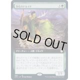 [EX](FOIL)(フルアート)浄化のドルイド/Druid of Purification《日本語》【AFC】