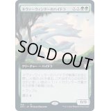 [EX](FOIL)(フルアート)ネヴァーウィンターのハイドラ/Neverwinter Hydra《日本語》【AFC】
