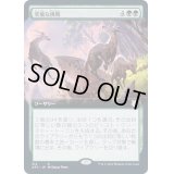 [EX](FOIL)(フルアート)突飛な挑戦/Wild Endeavor《日本語》【AFC】