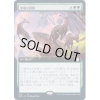 [EX](FOIL)(フルアート)突飛な挑戦/Wild Endeavor《日本語》【AFC】