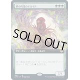 [EX](FOIL)(フルアート)夢の円環のドルイド/Circle of Dreams Druid《日本語》【AFR】