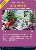 (FOIL)(フルアート)進化する未開地/Evolving Wilds《日本語》【AFR】