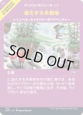 [EX+](FOIL)(フルアート)進化する未開地/Evolving Wilds《日本語》【AFR】