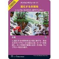 (FOIL)(フルアート)進化する未開地/Evolving Wilds《日本語》【AFR】