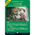 (FOIL)(フルアート)ハイドラの巣/Lair of the Hydra《日本語》【AFR】