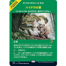 画像1: (フルアート)ハイドラの巣/Lair of the Hydra《日本語》【AFR】