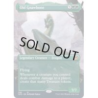 [EX+](FOIL)(フルアート)年老いた骨齧り/Old Gnawbone《英語》【AFR】