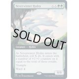 [EX](FOIL)(フルアート)ネヴァーウィンターのハイドラ/Neverwinter Hydra《英語》【AFC】