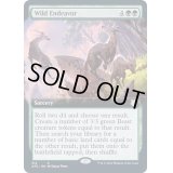 [EX](FOIL)(フルアート)突飛な挑戦/Wild Endeavor《英語》【AFC】