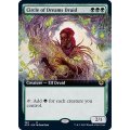(フルアート)夢の円環のドルイド/Circle of Dreams Druid《英語》【AFR】