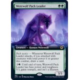 [EX+](FOIL)(フルアート)群れ率いの人狼/Werewolf Pack Leader《英語》【AFR】