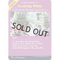 (FOIL)(フルアート)進化する未開地/Evolving Wilds《英語》【AFR】