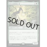 [EX+]迷える探求者、梓/Azusa, Lost but Seeking《日本語》【CMM】
