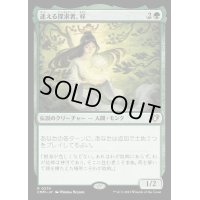 迷える探求者、梓/Azusa, Lost but Seeking《日本語》【CMM】