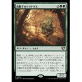 (FOIL)血胞子のトリナクス/Bloodspore Thrinax《日本語》【CMM】