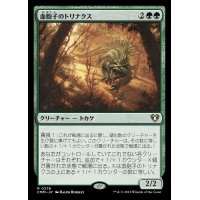 (FOIL)血胞子のトリナクス/Bloodspore Thrinax《日本語》【CMM】