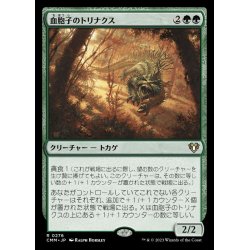 画像1: (FOIL)血胞子のトリナクス/Bloodspore Thrinax《日本語》【CMM】