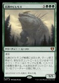 [EX]孔蹄のビヒモス/Craterhoof Behemoth《日本語》【CMM】