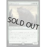 (FOIL)孔蹄のビヒモス/Craterhoof Behemoth《日本語》【CMM】