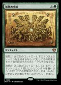 (FOIL)倍増の季節/Doubling Season《日本語》【CMM】