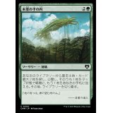 木霊の手の内/Kodama's Reach《日本語》【CMM】