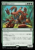 (FOIL)生命線のハイドラ/Lifeblood Hydra《日本語》【CMM】