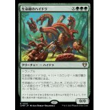 生命線のハイドラ/Lifeblood Hydra《日本語》【CMM】