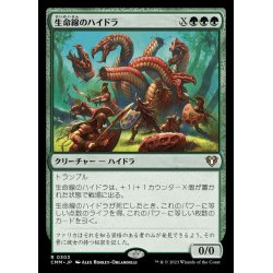 画像1: (FOIL)生命線のハイドラ/Lifeblood Hydra《日本語》【CMM】