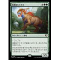 (FOIL)絢爛なビヒモス/Regal Behemoth《日本語》【CMM】