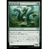 野生林の災い魔/Wildwood Scourge《日本語》【CMM】