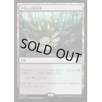 (FOIL)下生えの競技場/Undergrowth Stadium《日本語》【CMM】