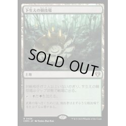 画像1: [EX+](FOIL)下生えの競技場/Undergrowth Stadium《日本語》【CMM】