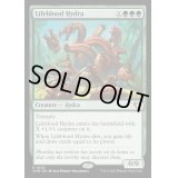 (FOIL)生命線のハイドラ/Lifeblood Hydra《英語》【CMM】