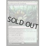 [EX+]下生えの競技場/Undergrowth Stadium《英語》【CMM】