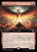 (FOIL)(フルアート)ヤヤのフェニックス/Jaya's Phoenix《日本語》【CMM】