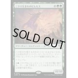 [EX+]ニクス生まれのビヒモス/Nyxborn Behemoth《日本語》【CMM】
