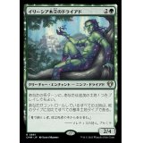 イリーシア木立のドライアド/Dryad of the Ilysian Grove《日本語》【CMM】
