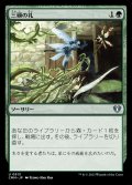 [EX+]三顧の礼/Three Visits《日本語》【CMM】