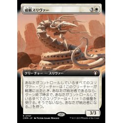 画像1: (FOIL)(フルアート)威厳スリヴァー/Regal Sliver《日本語》【CMM】