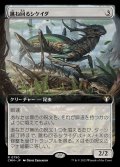 (FOIL)(フルアート)跳ね回るシケイダ/Skittering Cicada《日本語》【CMM】