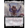 (フルアート)虚空喰らい、ズロドック/Zhulodok, Void Gorger《日本語》【CMM】