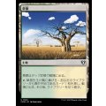 [EX+]草原/Grasslands《日本語》【CMM】