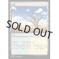 草原/Grasslands《日本語》【CMM】