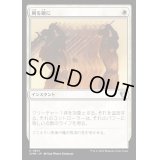[EX+]剣を鍬に/Swords to Plowshares《日本語》【CMM】