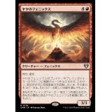 ヤヤのフェニックス/Jaya's Phoenix《日本語》【CMM】