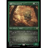 (エッチングFOIL)血胞子のトリナクス/Bloodspore Thrinax《日本語》【CMM】
