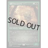 [EX+](エッチングFOIL)血胞子のトリナクス/Bloodspore Thrinax《日本語》【CMM】
