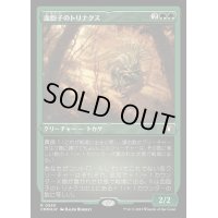 [EX+](エッチングFOIL)血胞子のトリナクス/Bloodspore Thrinax《日本語》【CMM】